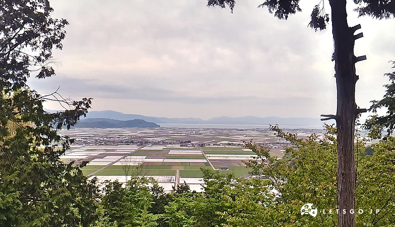 从安土山上俯瞰琵琶湖方向,前景为绿树,远方为近江八幡平原农田与湖面,阴天