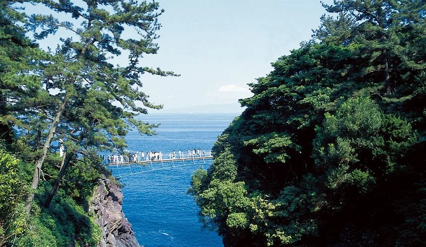能眺望青翠树林与湛蓝海景的海岸