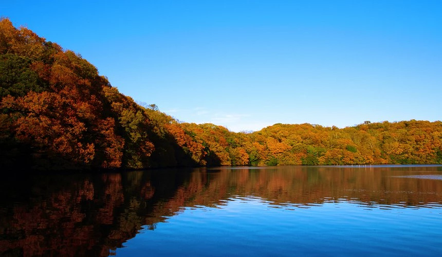 倒映枫叶景色的湖景