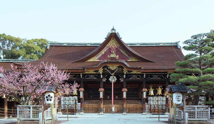 北野天滿宮本殿,深色木造屋舍與華麗屋簷清晰可見,前方梅樹盛開,周圍有石燈籠與整齊庭園