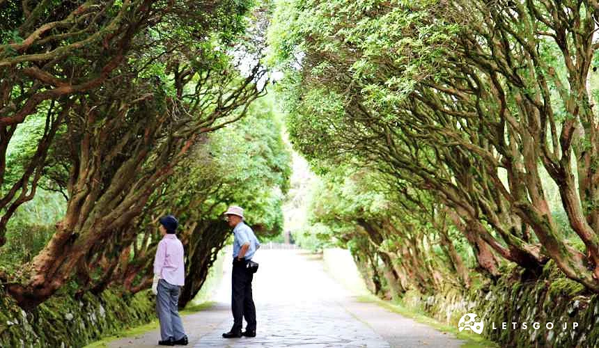 两位游客在恩赐箱根公园内散步