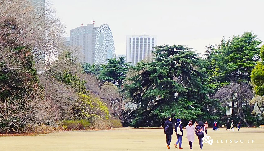 日本东京自由行自助旅游旅行推荐第一次必去景点新宿御苑赏樱赏枫攻略