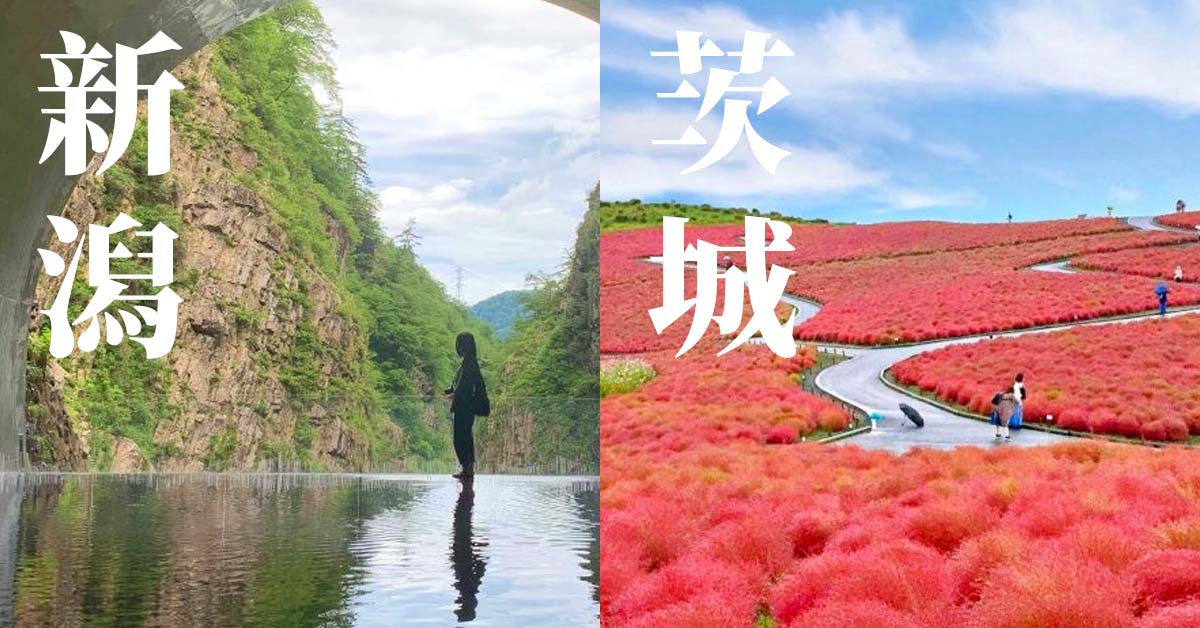 新泻到底念「夕」还是「谢」?5个看得懂,却意外念错的日本地名-乐吃购日本