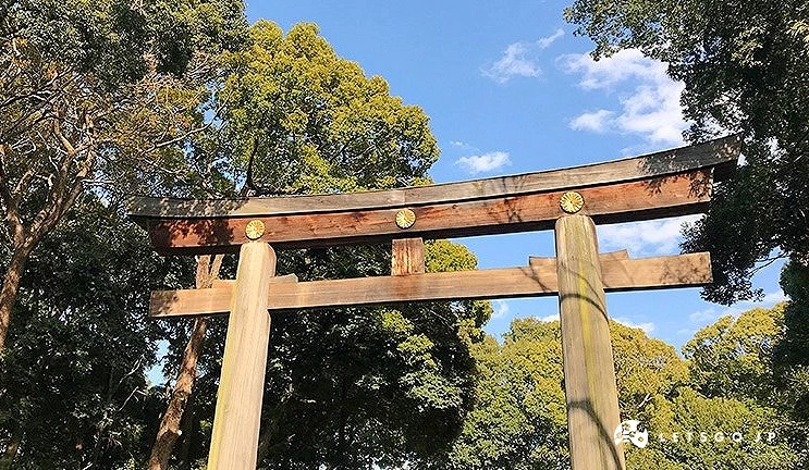 一座高大的木製鳥居立於明治神宮森林入口處,背景是藍天與濃密樹林