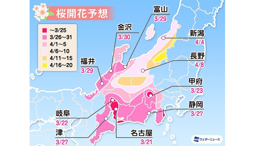 2020日本樱花最前缐开花日满开日赏樱weathernews日本名古屋静冈金泽北陆樱花