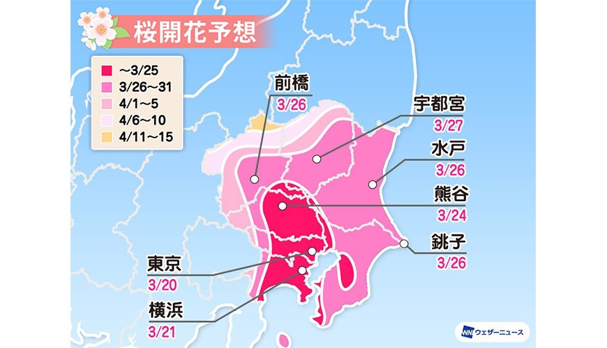 2020日本樱花最前缐开花日满开日赏樱weathernews日本东京樱花