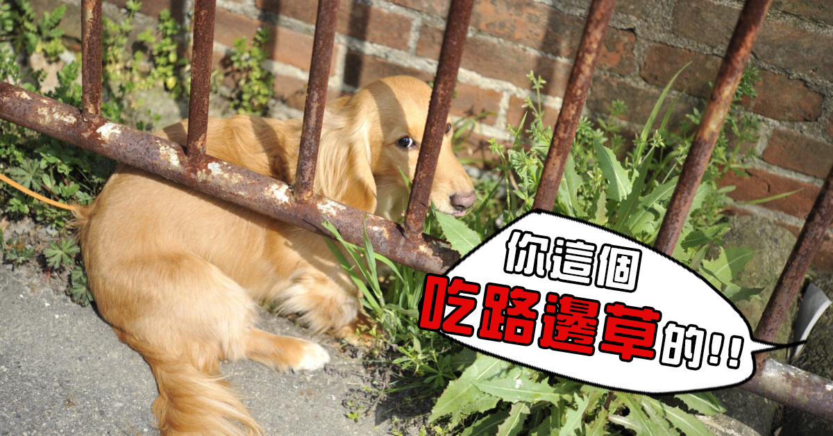 为什么察言观色的日文叫做 读空气 日本人常用7个惯用句 学了就秒懂 乐吃购日本
