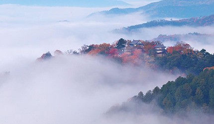 日本岡山單車遊推薦推介必去美景必吃必食美食八大單車路線總整理吉備松山城