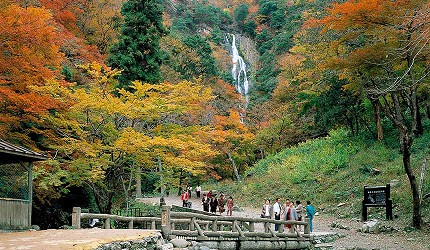 日本岡山單車遊推薦推介必去美景必吃必食美食八大單車路線總整理真庭新莊山林巡禮路線