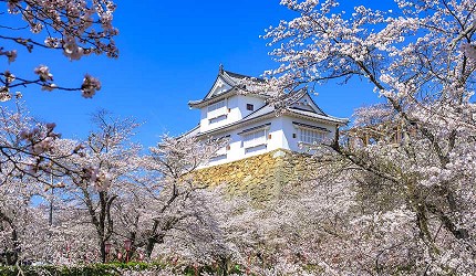 日本岡山單車遊推薦推介必去美景必吃必食美食八大單車路線總整理片鐵浪漫街道路線