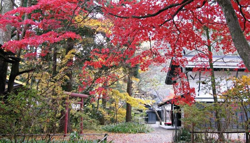 青森秋田岩手必去景點推薦推介十和田湖奧入瀨溪流超美楓葉DIY夢幻葫蘆燈角館武家屋敷