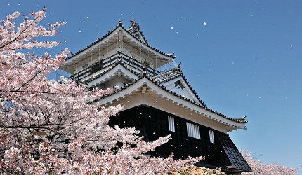 日本靜岡親子旅遊自由行必去景點推薦推介吉卜力夢幻森林空軍基地航空濱松城櫻花