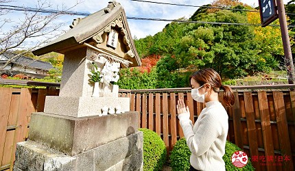 島根旅遊賞楓景點推薦推介女子遊必去出雲泡美肌溫泉催姻緣必吃島根和牛介紹八上姫神社
