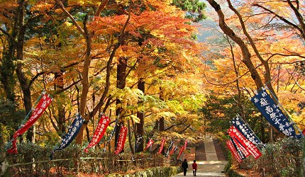 島根旅遊賞楓景點推薦推介女子遊必去出雲泡美肌溫泉催姻緣必吃島根和牛介紹鱷淵寺表參道