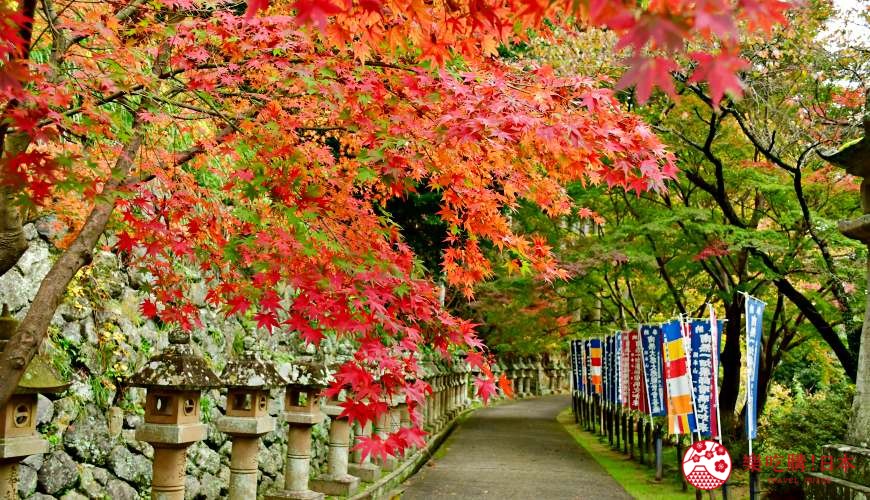島根旅遊賞楓景點推薦推介女子遊必去出雲泡美肌溫泉催姻緣必吃島根和牛介紹一畑藥師表參道