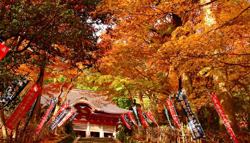 島根旅遊賞楓景點推薦推介女子遊必去出雲泡美肌溫泉催姻緣必吃島根和牛介紹鱷淵寺大殿