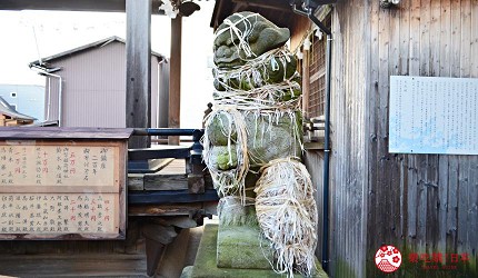 新潟旅行冬天自由行程景點推薦推介的金刀比羅神社狛犬
