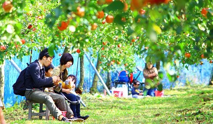岛根自由行必吃必食美食推荐推介岛根和牛排山猪肉围炉里道地料理怀石料理日本制餐酒红白酒庄赤来高原观光苹果园里亲子游的游客