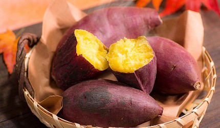 日本蕃薯華御結即食超甜蕃薯微波爐焗爐燴蕃薯料理