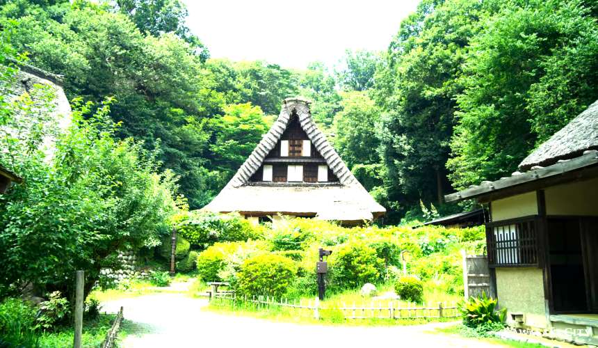川崎市景點推薦日本民家園