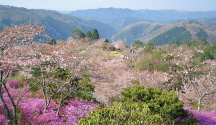 日本岡山「美咲町」的「三休公園」