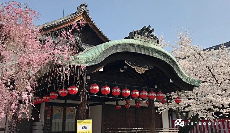 京都只园甲部歌舞练场的外观,拥有宏伟的日式传统屋檐与挂满的红灯笼,两旁盛开着粉嫩的樱花,展现春天花见小路的建筑美学。