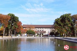 เที่ยวอูเอโนะ 2025 ชอป ชมซากุระ พิพิธภัณฑ์ ครบจบที่เดียว