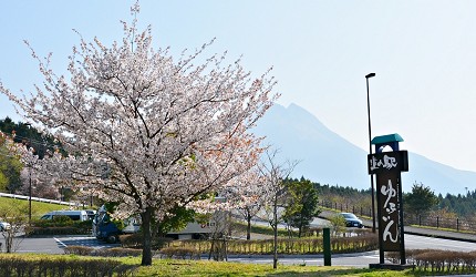 日本九州自駕遊行程總整理!熊本、大分必去觀光景點:上色見熊野座神社、進撃巨人銅像、九重夢大吊橋