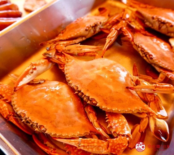 仙台自由行推薦行程 海釣蝦虎魚 Sup賞夕陽 絕美帳篷餐廳 仙台沿岸自行車體驗 樂吃購 日本