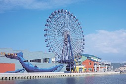 福冈购物景点推荐：博多运河城、永旺梦乐城福冈、天神商圈必逛！