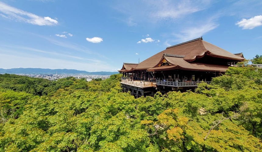 夏季被绿树包围的清水寺