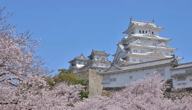 姬路城周边景点+美食推荐:好古园、姬路中央公园都必去!