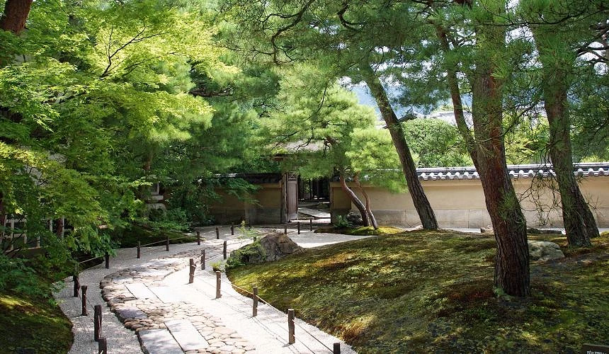 綠色樹林及小徑
