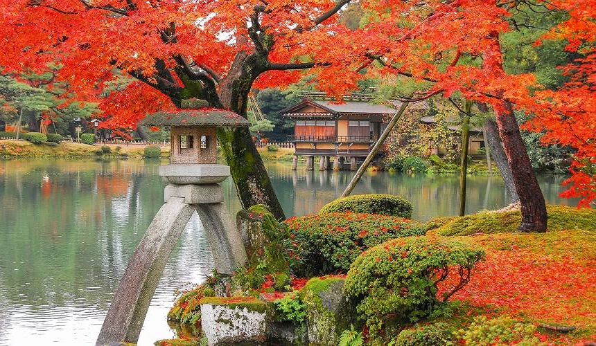 石川县金泽兼六园秋季红叶景观,徽轸石灯笼矗立池畔,鲜红枫叶倒映水面,背景可见茶屋与庭园景致