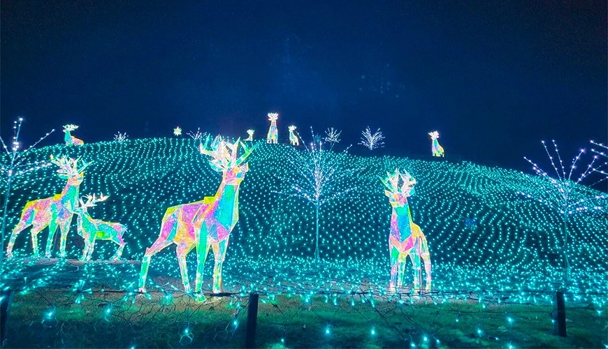 大阪堺市堺綠色博物館收穫之丘Wonder Night Hill 2024