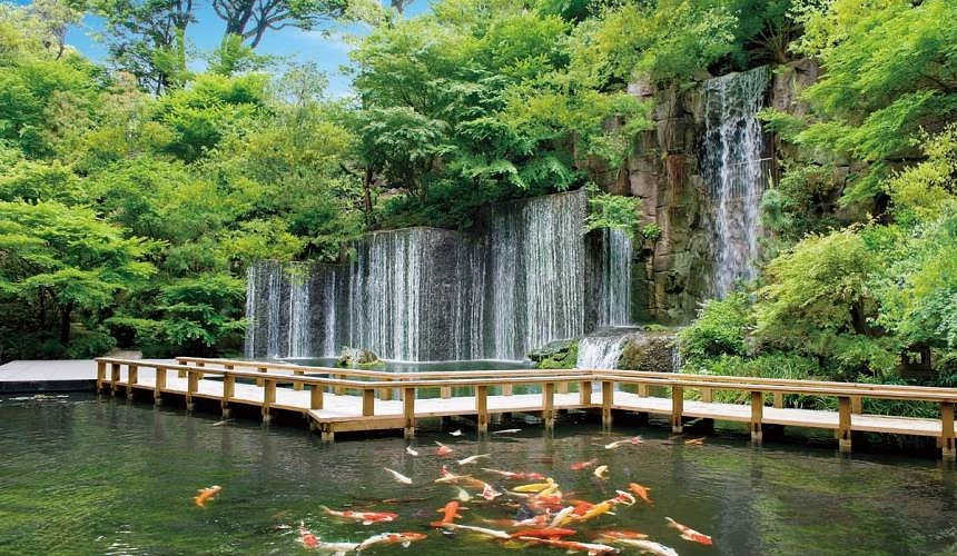 绿意盎然的日式庭园与瀑布,池中悠游着锦鲤