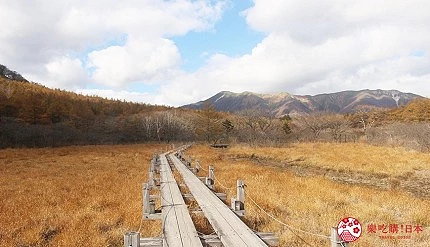 橫越濕地的步道