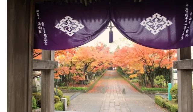 山口市景點推薦：菜香亭和服體驗、湯田溫泉泡湯、吃瓦片蕎麥麵！