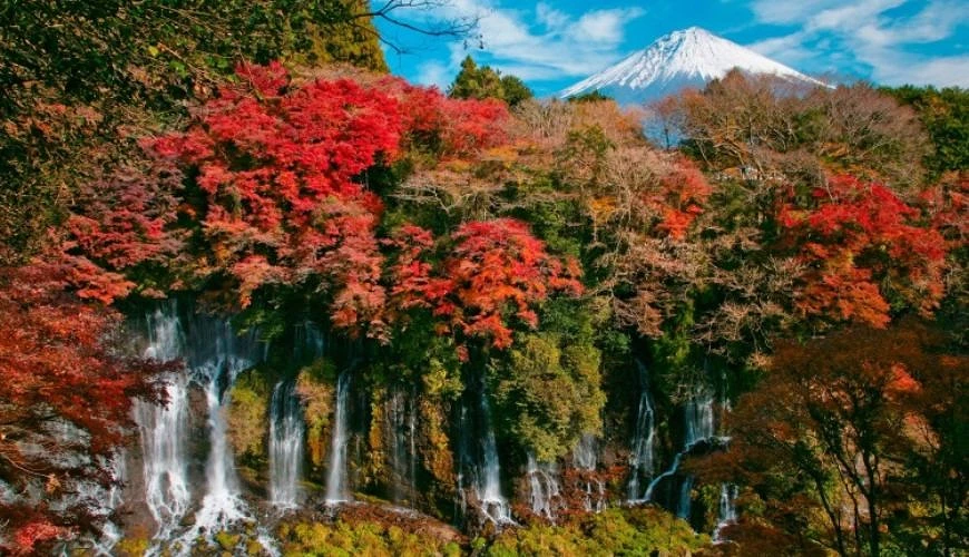 于盛开的红叶中的瀑布,后面是富士山