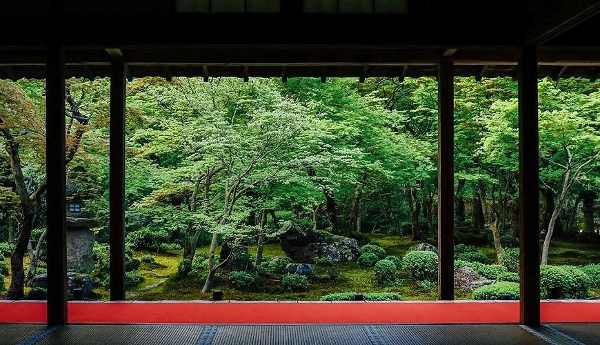 「圓光寺 十牛之庭」以清苔和紅葉相襯而聞名