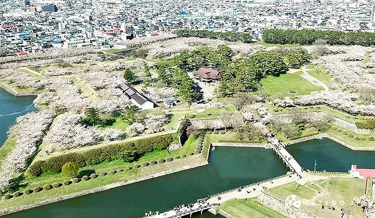 五稜郭公園春景