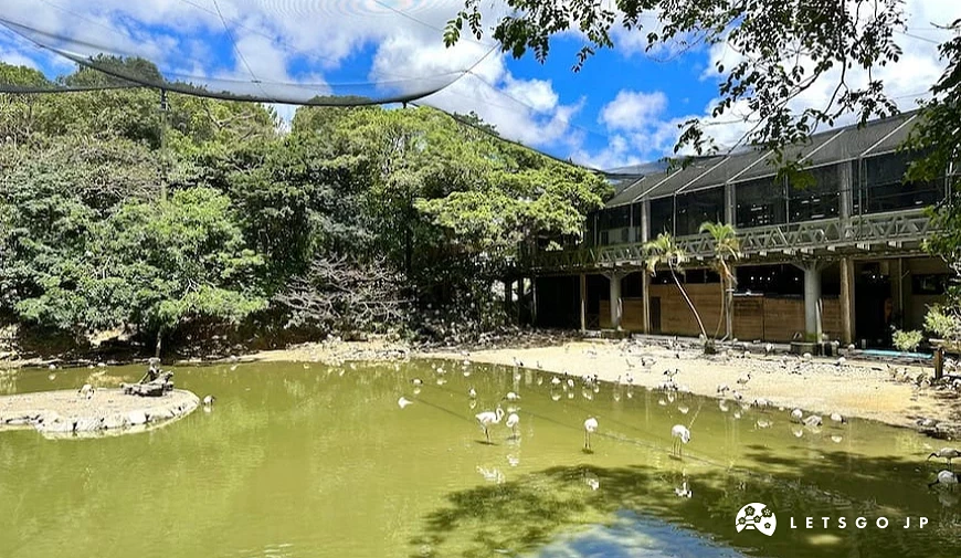 NEO PARK 名護自然動植物公園的TOTO湖