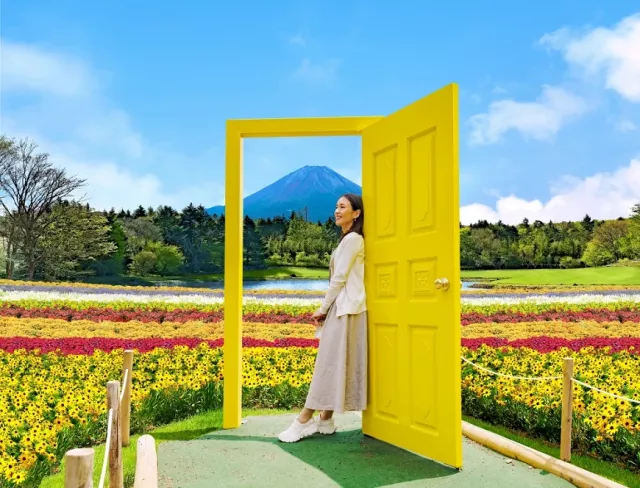 富士本栖湖度假村「2025 彩虹花祭」将登场,富士山脚下绝美花海必访!
