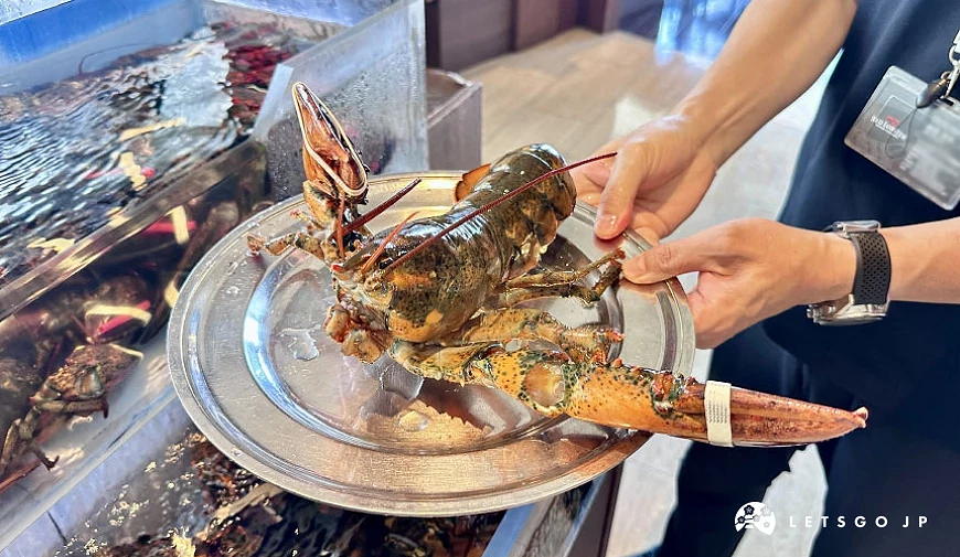 新鮮活跳跳的紅龍蝦