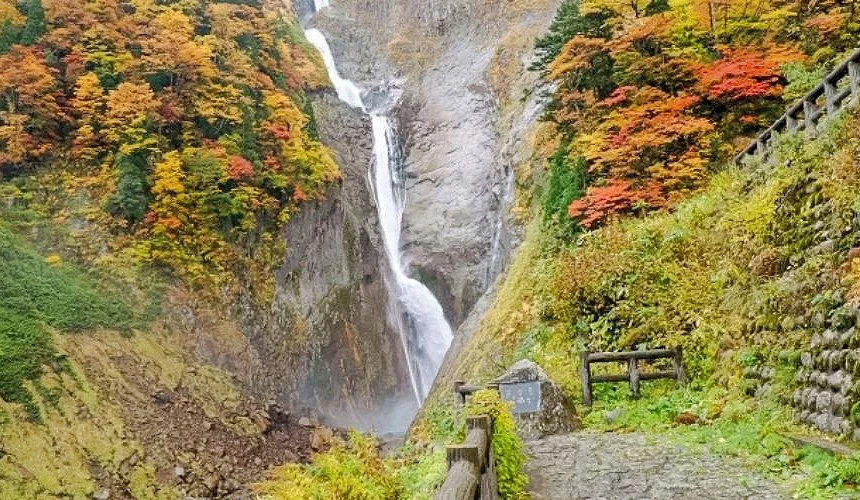富山县立山町称名瀑布秋季景观,四段落差瀑布奔流而下,周围枫叶转红染黄,与山谷景色相映成趣