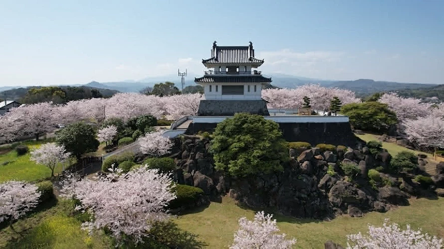 竹崎城址展望台公园周围开满樱花