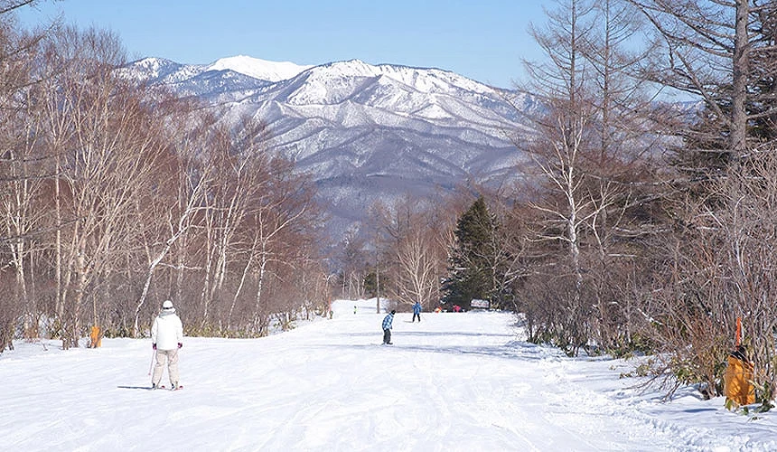 日本北海道冬季滑雪场景,滑雪者沿着被白雪覆盖的山坡滑行,远方雪山与树林构成壮阔风
