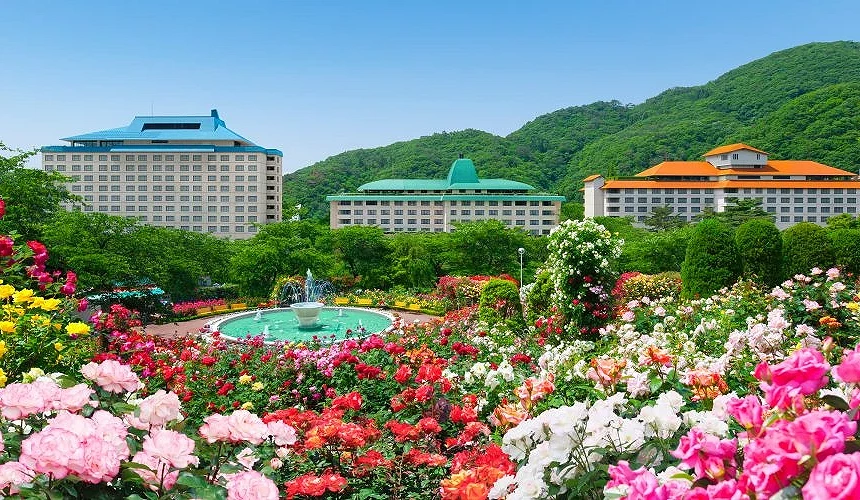 花卷温泉园区花园景观,花卉与饭店建筑及山景背景