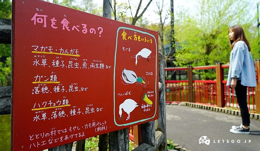 旭山动物园园区内的手绘解说牌,展示动物知识与行动展示理念