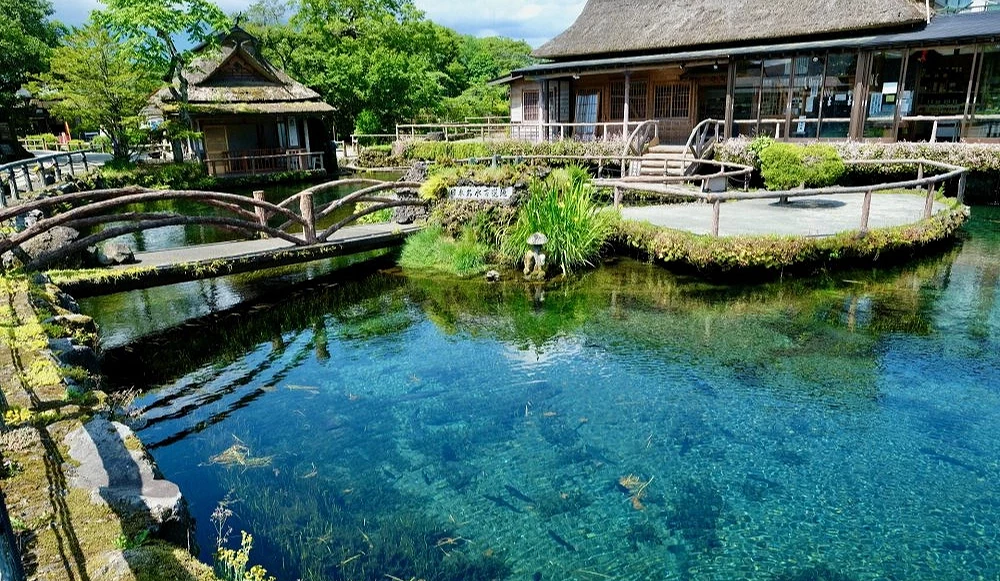 忍野八海